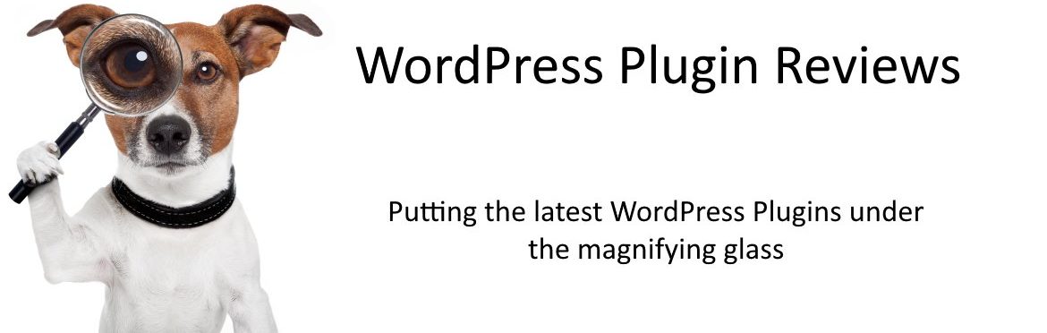 WordPress Plugin Reviews